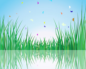 Image showing grass on water