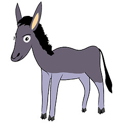 Image showing donkey