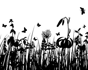 Image showing meadow silhouettes