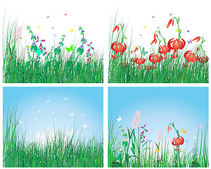 Image showing color set of grass backgrounds