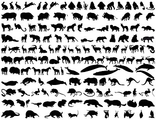 Image showing Vector animals