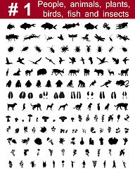 Image showing vector silhouettes set