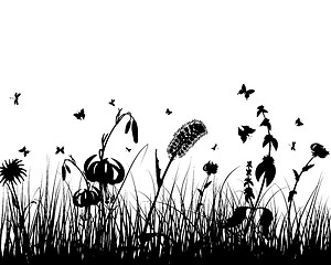 Image showing meadow silhouettes