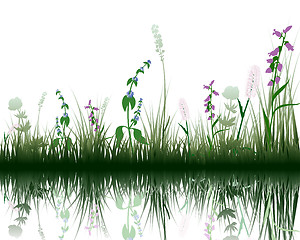 Image showing grass on water