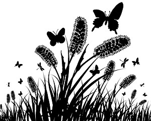 Image showing meadow silhouettes