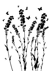 Image showing meadow silhouettes