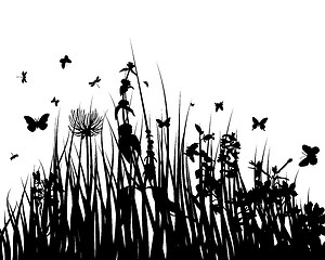 Image showing meadow silhouettes