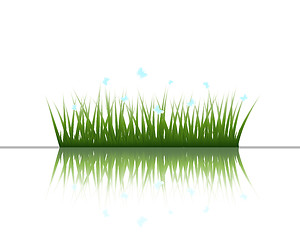 Image showing grass on water