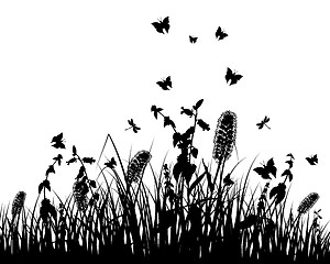 Image showing meadow silhouettes