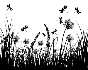 Image showing meadow silhouettes