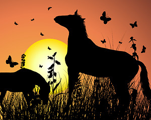 Image showing horse on sunset background