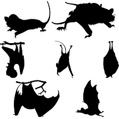 Image showing bats silhouettes set