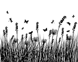 Image showing meadow silhouettes