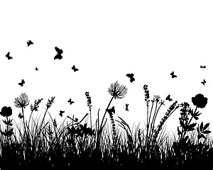 Image showing meadow silhouettes