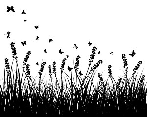 Image showing meadow silhouettes