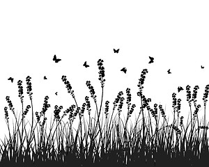 Image showing meadow silhouettes