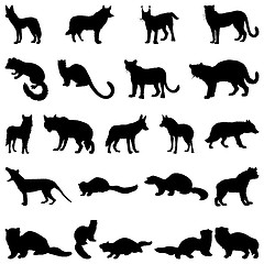 Image showing wolves and martens silhouettes set