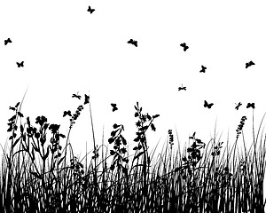 Image showing meadow silhouettes