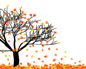 Image showing autumn  leaves