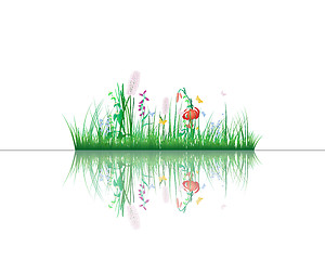 Image showing grass on water