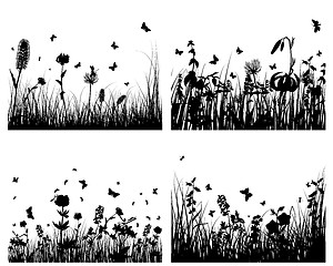 Image showing meadow silhouettes