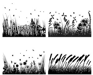 Image showing meadow silhouettes