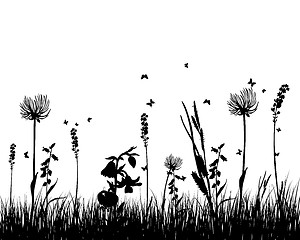 Image showing meadow silhouettes