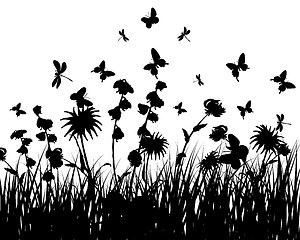 Image showing meadow silhouettes