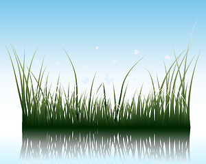 Image showing grass on water