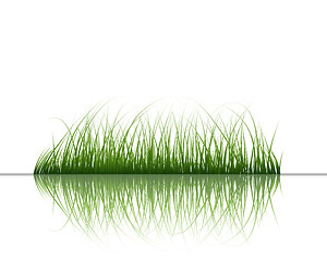 Image showing grass on water