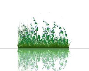 Image showing grass on water