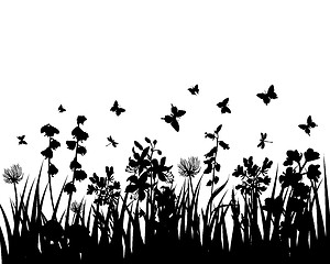 Image showing meadow silhouettes