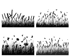 Image showing meadow silhouettes