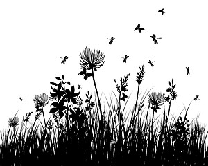 Image showing meadow silhouettes