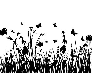 Image showing meadow silhouettes