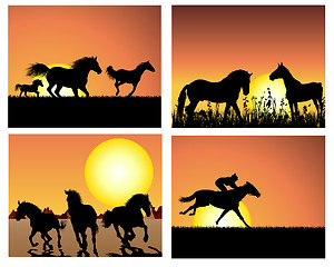 Image showing horse on sunset backgrounds set