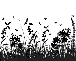 Image showing meadow silhouettes