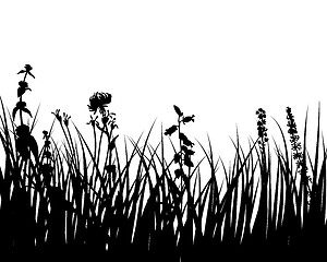 Image showing meadow silhouettes