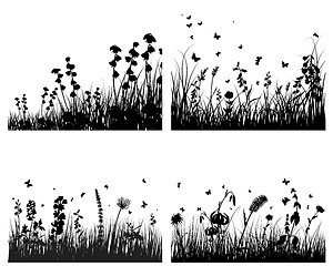 Image showing meadow silhouettes