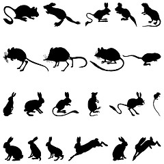 Image showing rodents silhouettes
