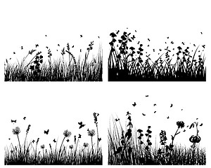 Image showing meadow silhouettes