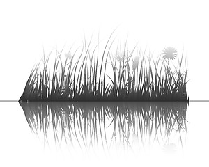 Image showing grass on water