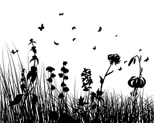 Image showing meadow silhouettes