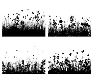 Image showing meadow silhouettes