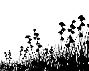 Image showing meadow silhouettes