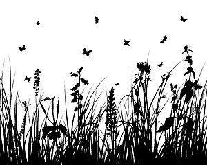 Image showing meadow silhouettes