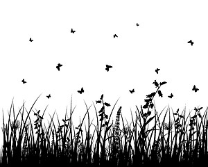 Image showing meadow silhouettes