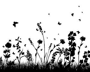 Image showing meadow silhouettes