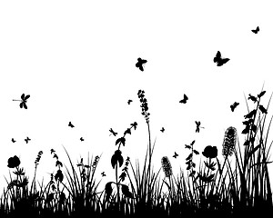 Image showing meadow silhouettes