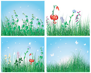 Image showing color set of grass backgrounds